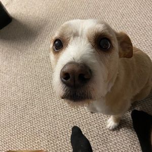 Meet your Posher, Max